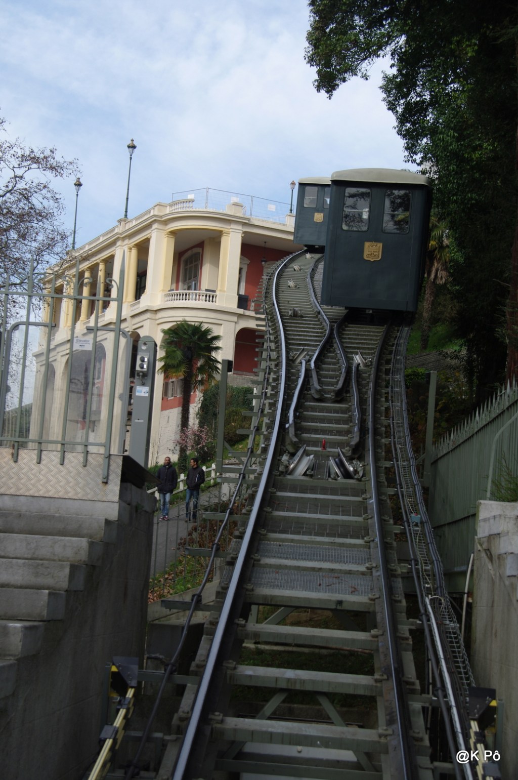 Cerbère,  entre chien de mer et Rayon&nbsp;Vert