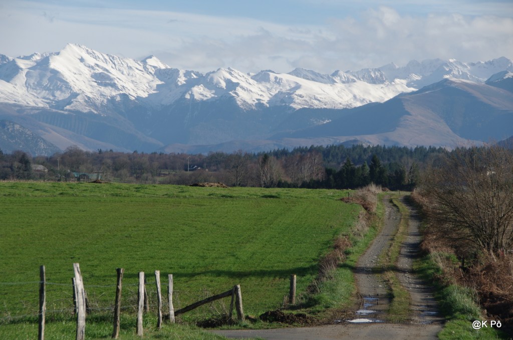 le mardi c&rsquo;est poésie : Hugo von Hofmannsthal&nbsp;(1874-1929)