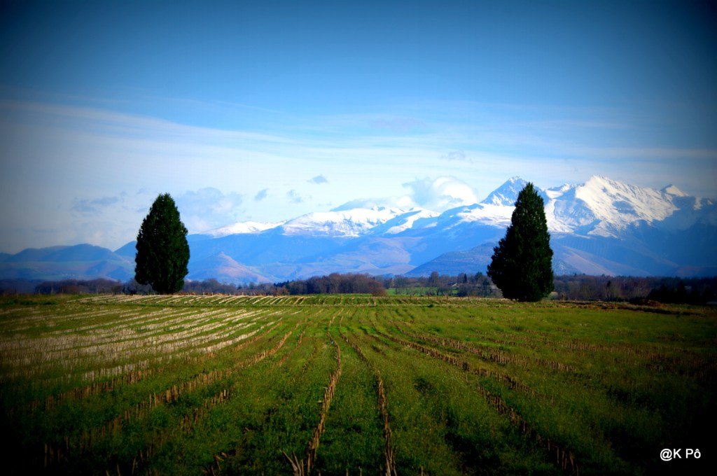 chéri, tu vas chercher le pain&nbsp;?