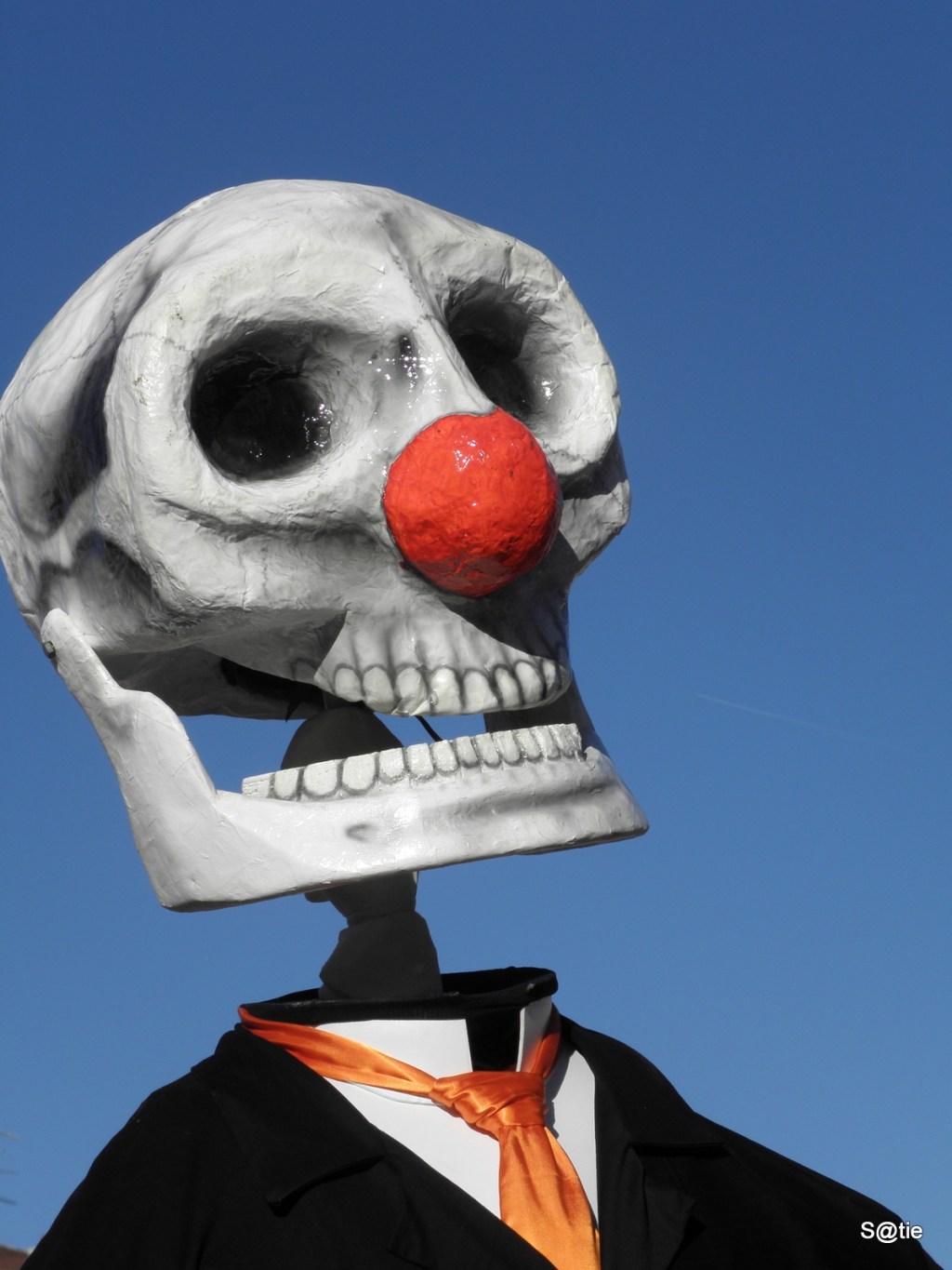 Saint Thomas l’a dit quand il l’a vu : Monsanto n’est pas un saint