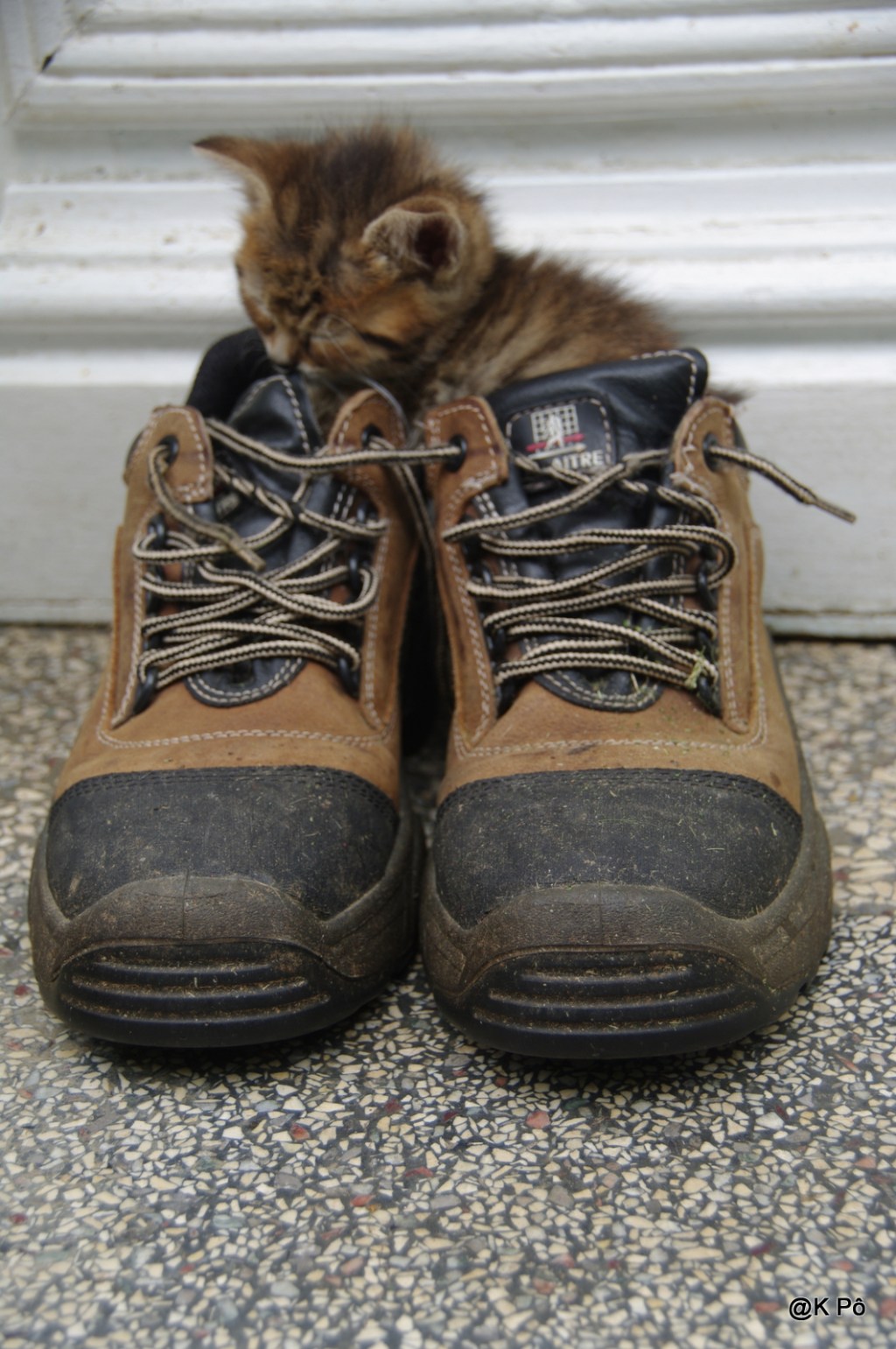 les squatters de la&nbsp;semaine