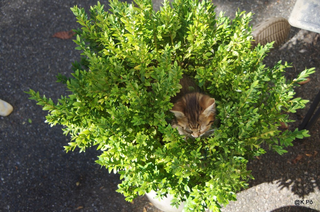 Trouvez l&rsquo;intrus (tout en écoutant la&nbsp;radio)