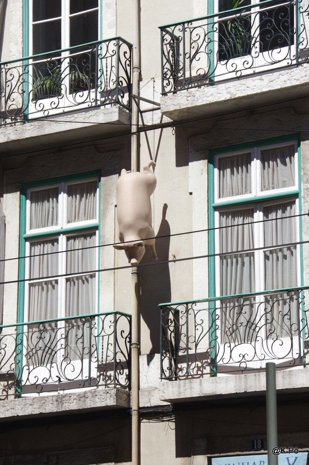 cochon(s) qui s&rsquo;en dédi(en)t&nbsp;!