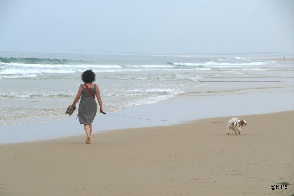 Allain Leprest, ne te presse pas, y a rien qui se passe…