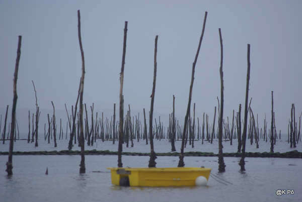 « les pépites », film documentaire de Xavier de Lauzanne