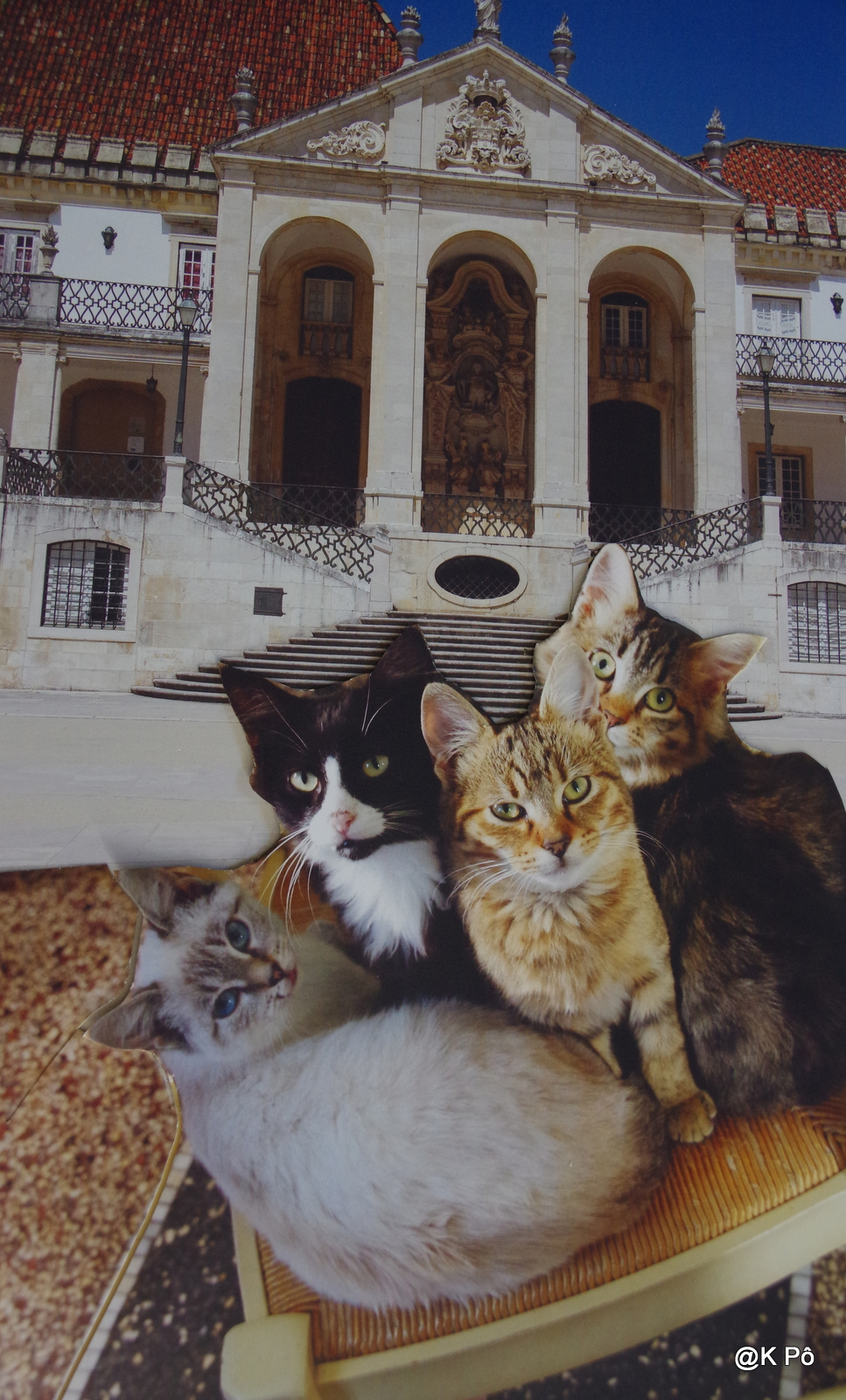 Jimmy Oihid, le capitaine Pitance et quatre chats à Coïmbra…