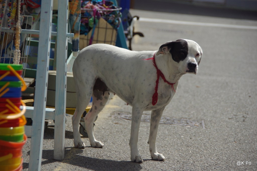 Je suis (très) con.