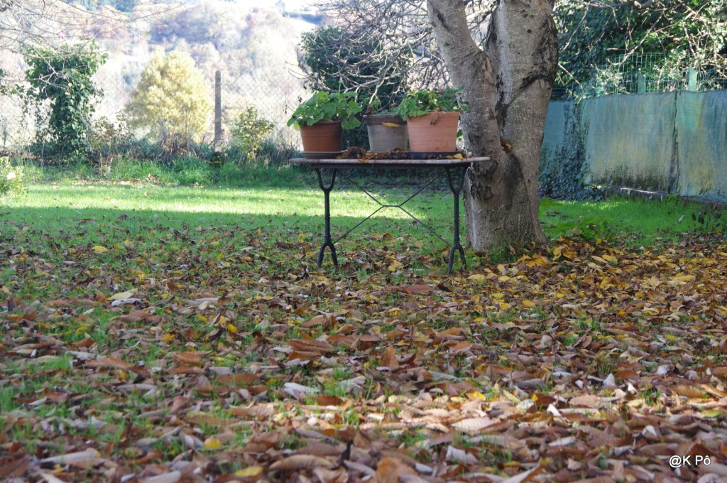 tiens, v&rsquo;là l&rsquo;automne (le&nbsp;23)!