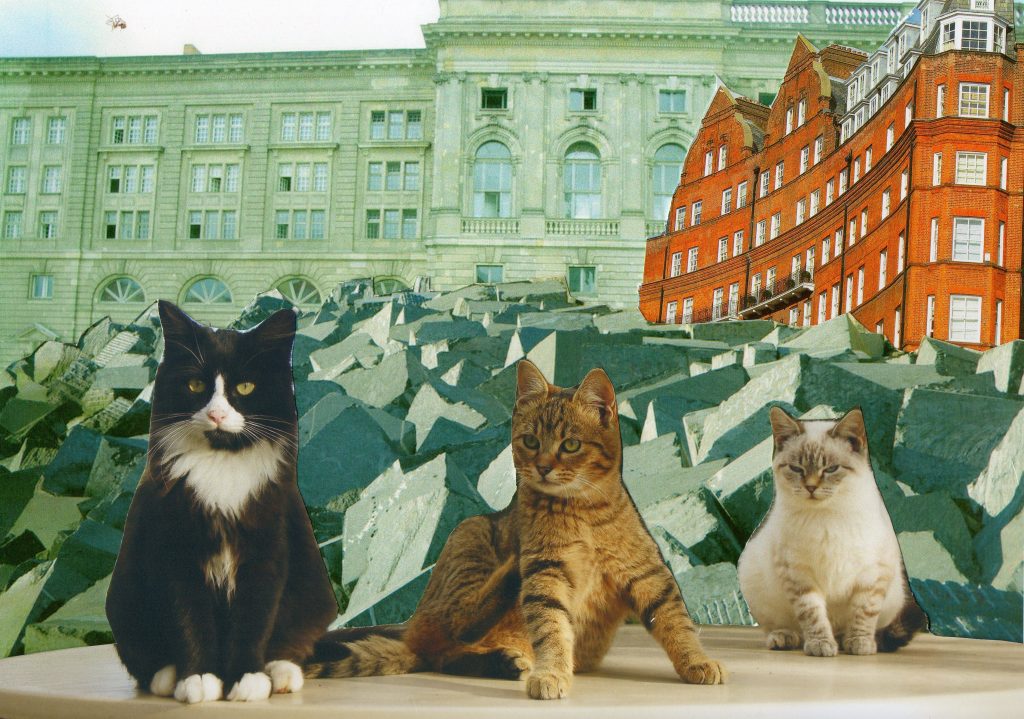 Patachon, Rouquinou et Grassouillette font du&nbsp;tourisme