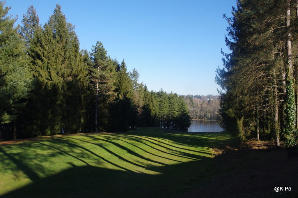 les bonnes idées : planter des arbres sur les terrains de foot (et de&nbsp;rugby)