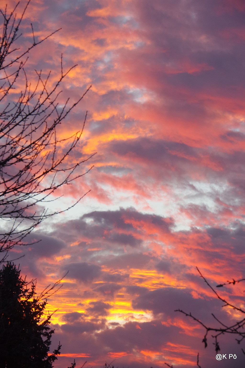 La Terre à plat ventre