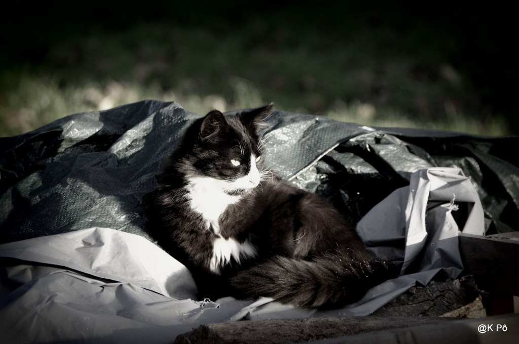 Près de chez nous il y a 365 montagnes…
