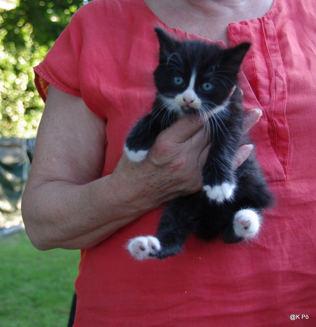 Comment faire un portrait de Chinou sans parapluie bionique et de Chinette sans sac à&nbsp;main