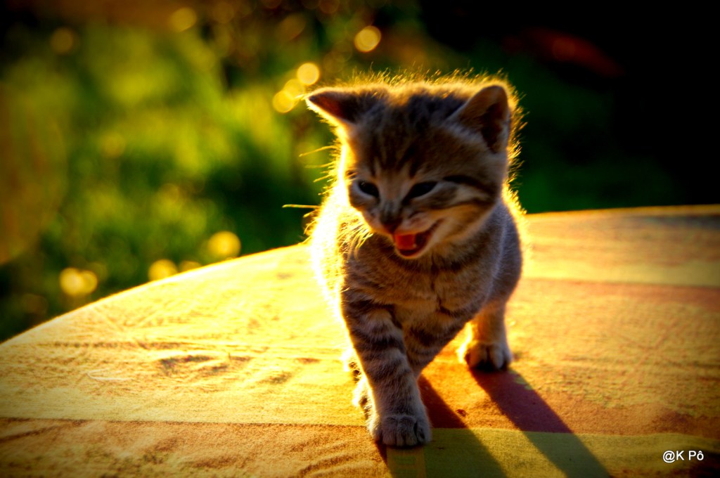 Et pendant ce temps-là on ne sait pas où l&rsquo;on&nbsp;va…