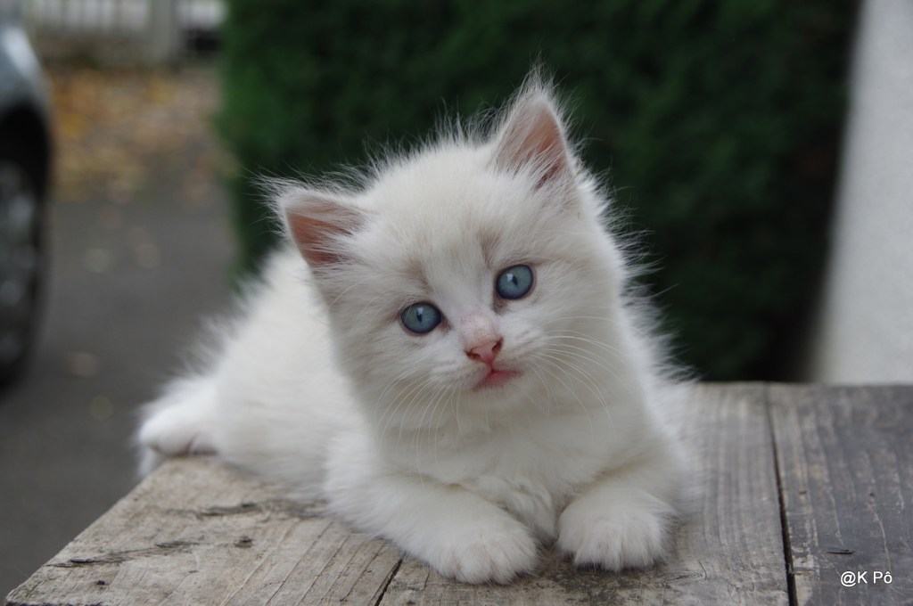 Les bijouteries se situent désormais à des années lumières (celles qui brillent dans tes&nbsp;yeux)