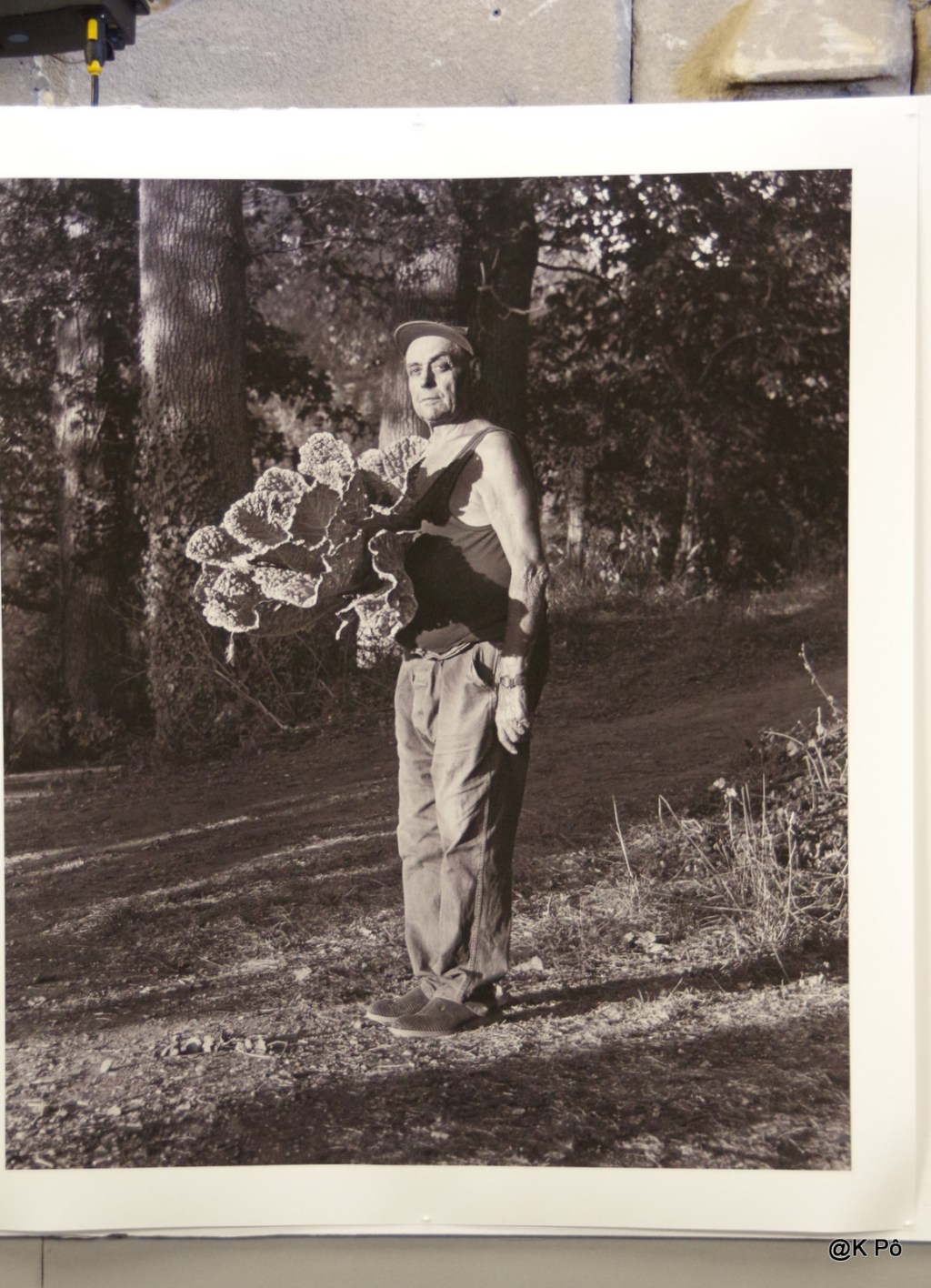 du mildiou à la chipocalypse