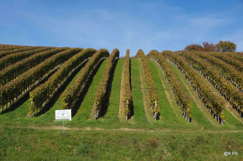 Septembre, mois des vendanges (et de sa grappe de&nbsp;ringardise)