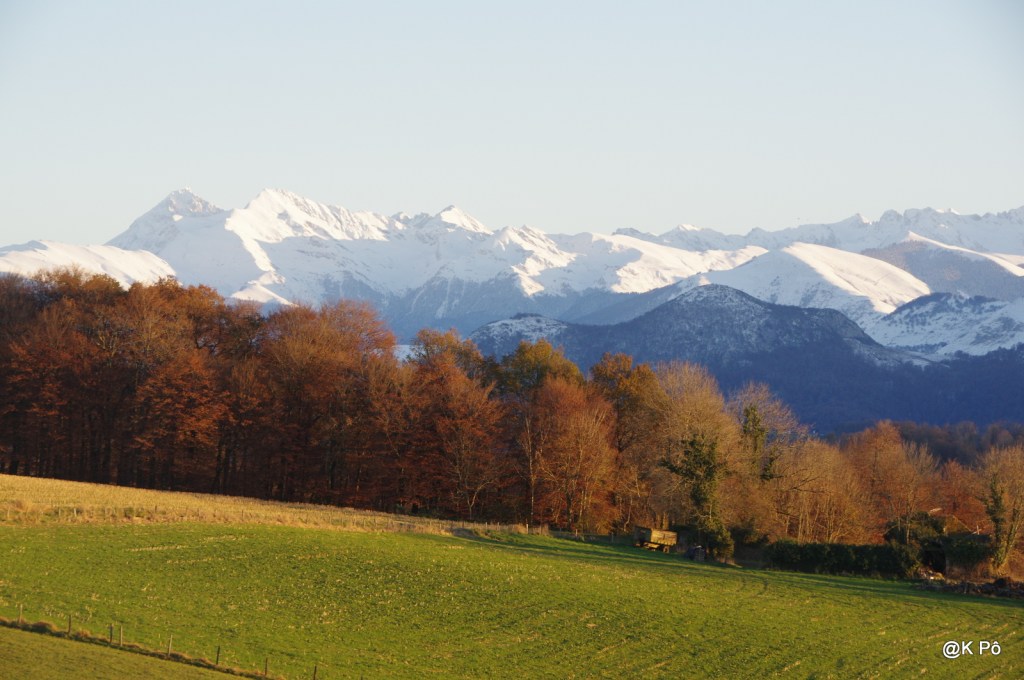 Paysages d&rsquo;avant l&rsquo;hiver, avec de vrais arbres (et de vrais&nbsp;minous)