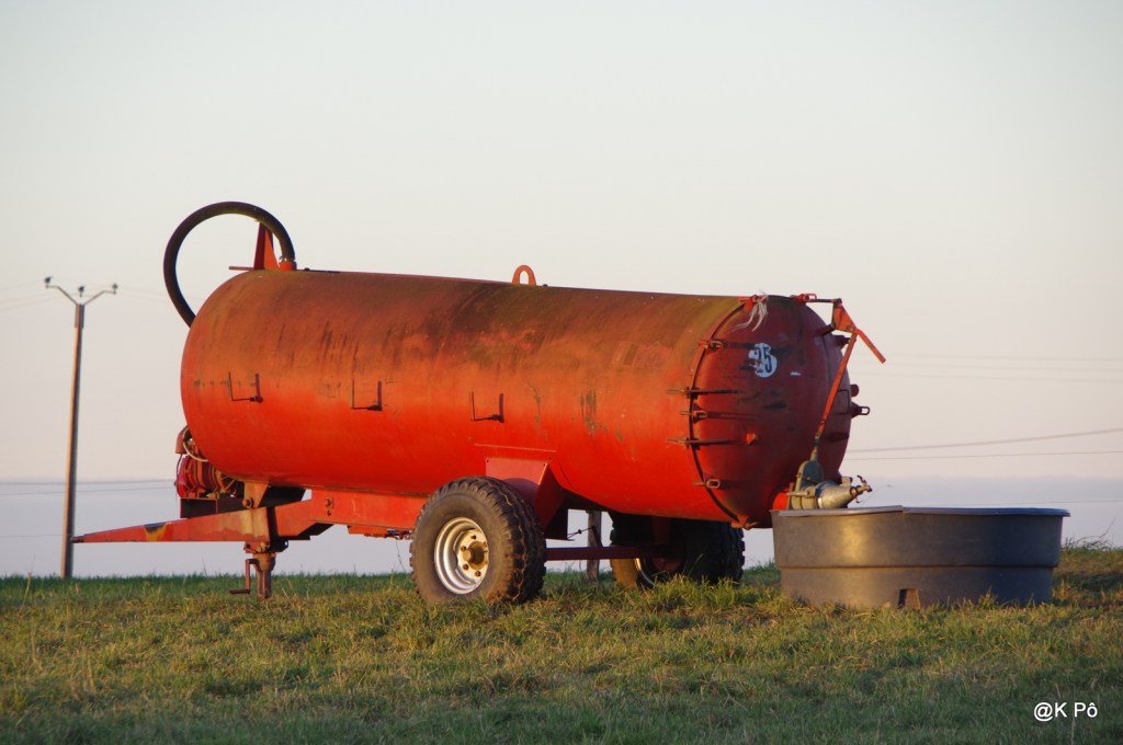 Fatal beauty (le flash du&nbsp;r…)