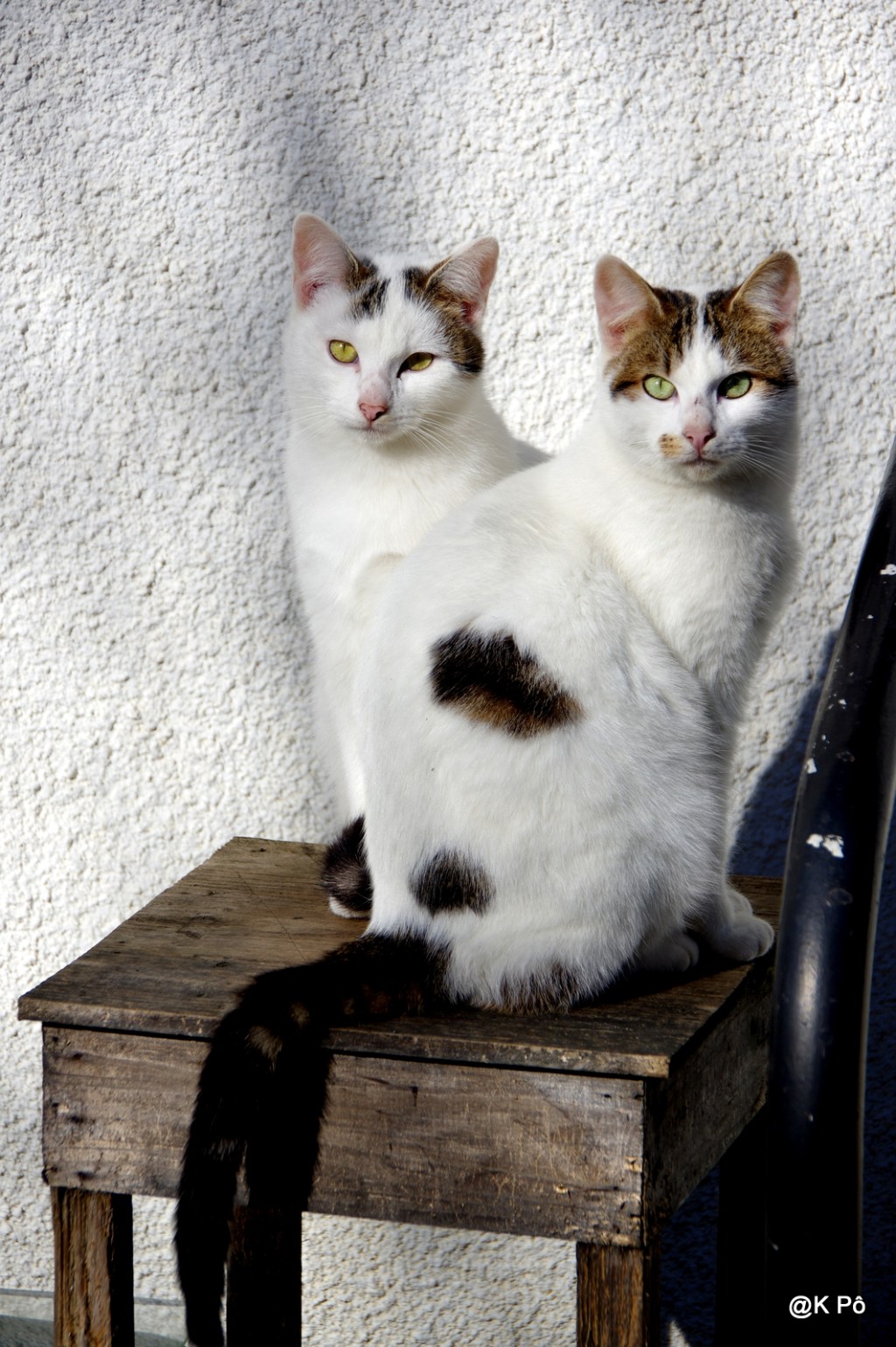 Demain, nous parlerons de Hansel et Gretel (opéra de Humperdinck)