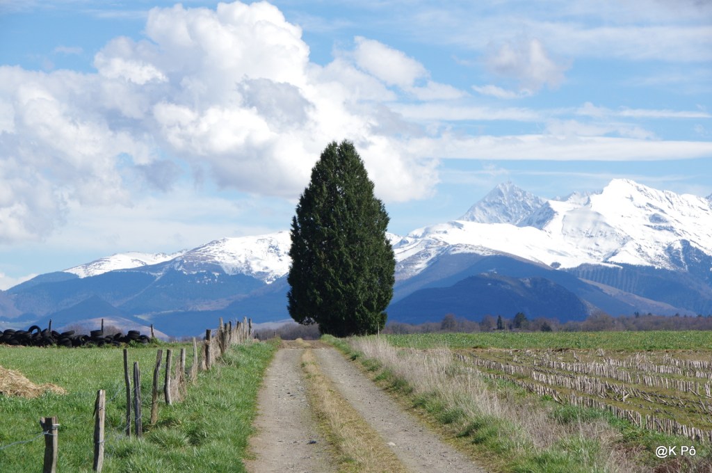 Comment pourrait-on ne pas se sentir libre face à ce paysage&nbsp;?