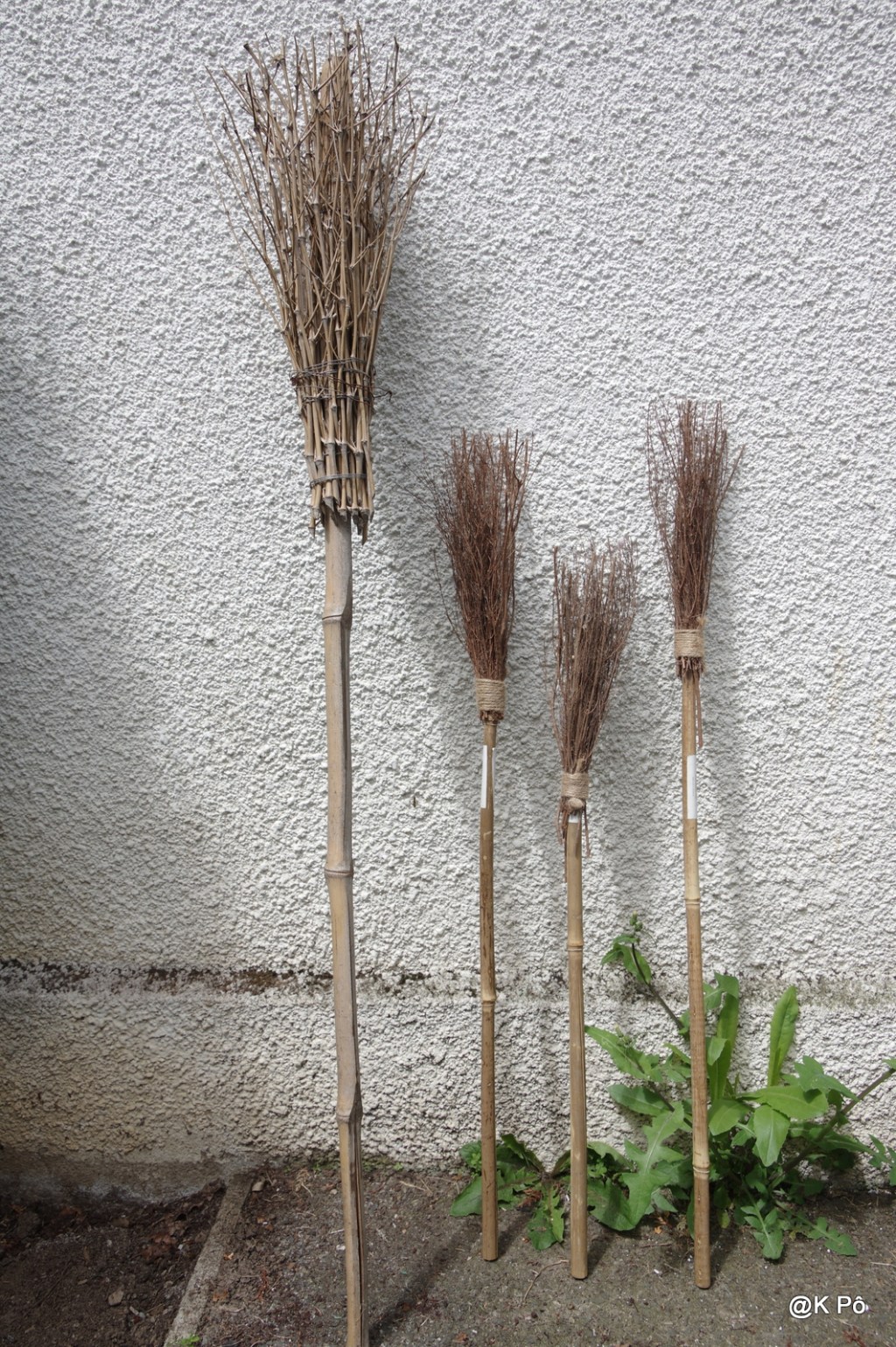 l&rsquo;image du jour : naissances à la casa&nbsp;Strega