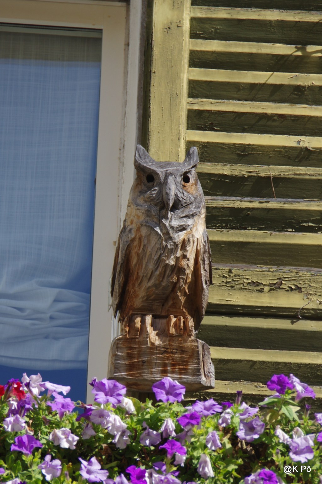 la double peine des oiseaux de&nbsp;nuit