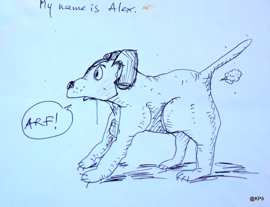 Un jour un chien l’autre un vieux, et la Seine au milieu