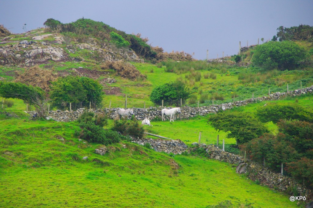 Brexit : une balafre irlandaise?