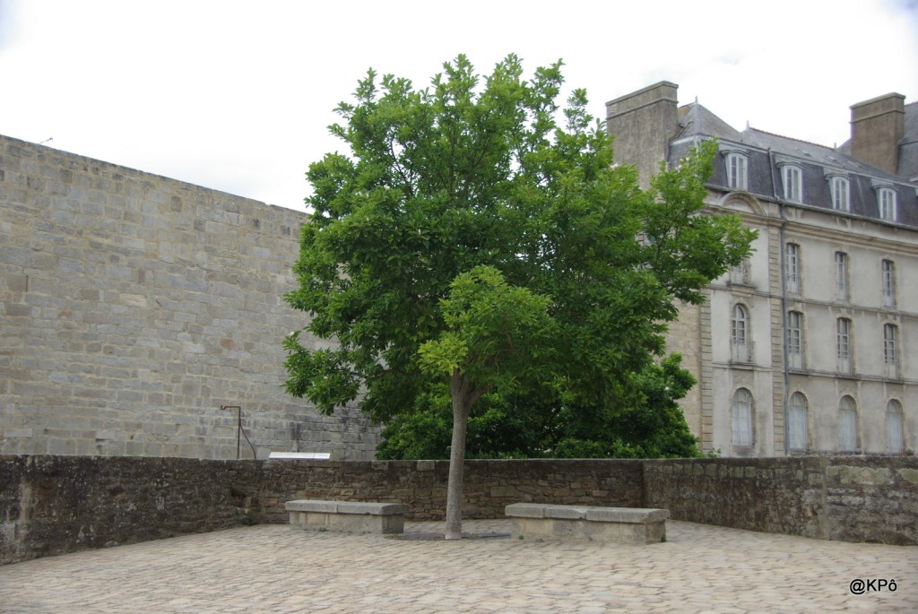 Vannes à l&rsquo;âme