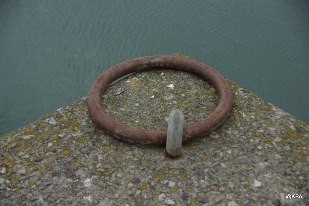 les mardis de la poésie : Guillaume Appolinaire&nbsp;(1880-1918)