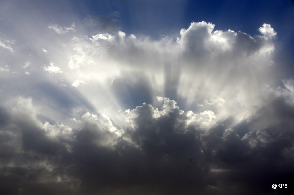 Amélie, la tempête qui fit tomber les feuilles du figuier (bel arbre désormais nu)