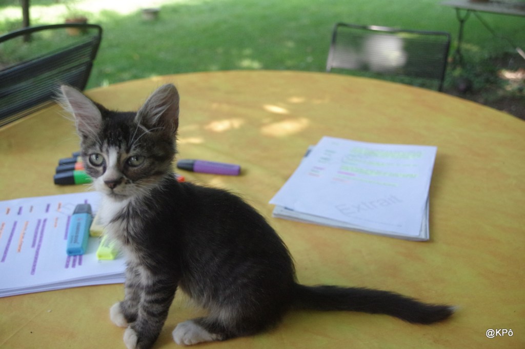 les mardis de la poésie : Charlotte Delbo