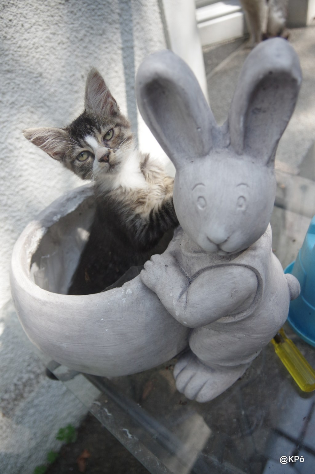 les mardis de la poésie : Maurice Carême (1899-1978)