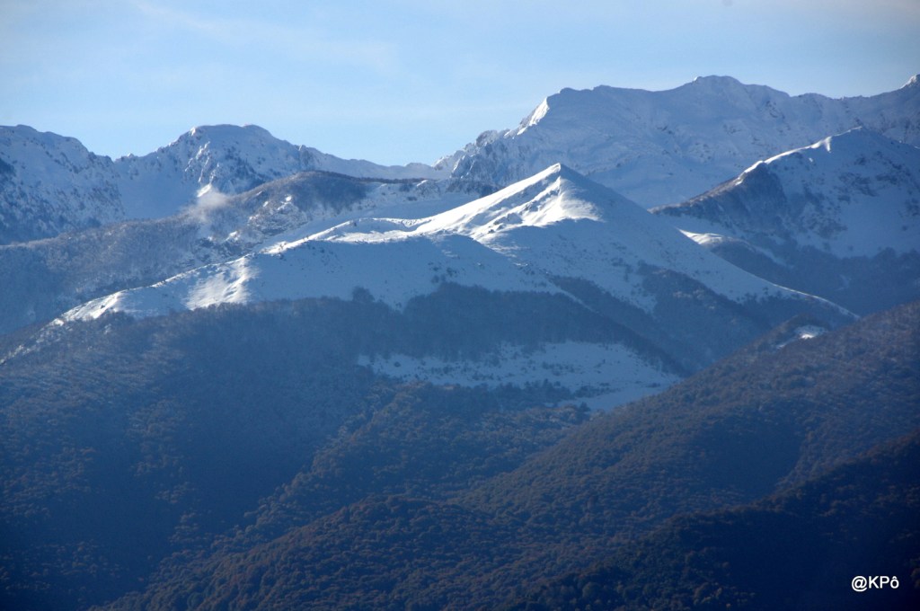 Un article délivré sans&nbsp;ordonnance