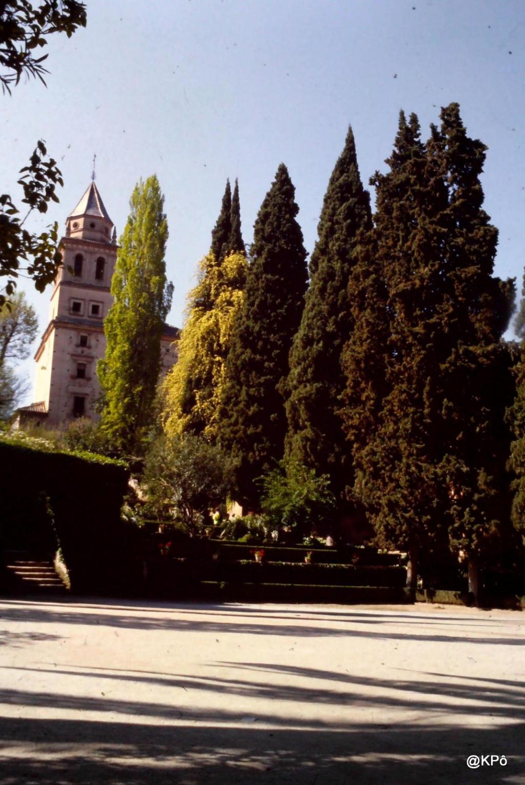 les mardis de la poésie : Alexandre Vialatte&nbsp;(1901-1971)