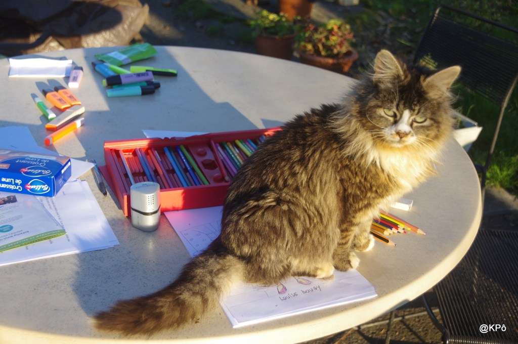 Un moment de détente avec Chantal Lauby et Bruno Carrette (INA 1985)
