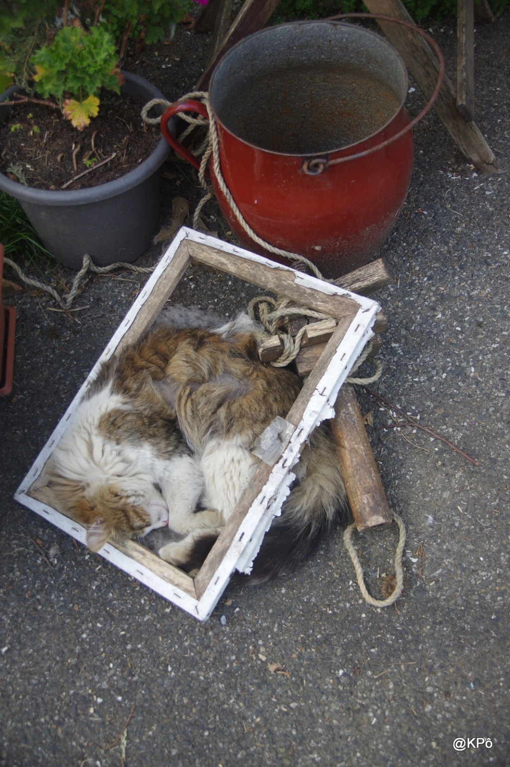 une historiette du dimanche bien&nbsp;confinante