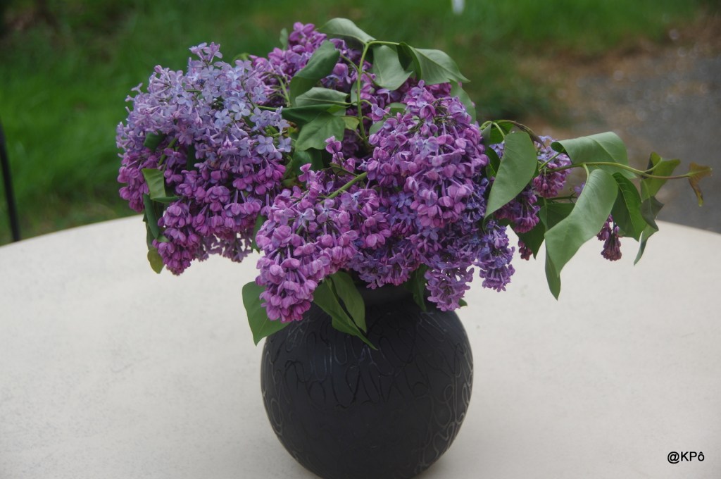 la vie (des plantes)&nbsp;continue…