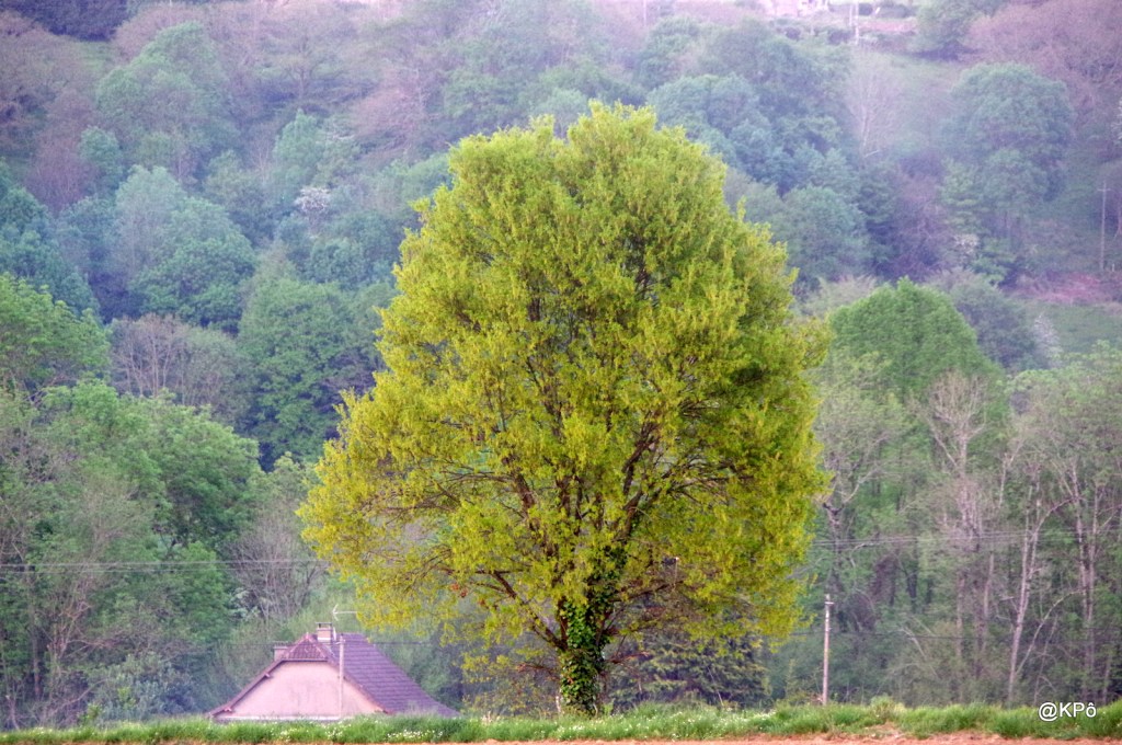 Causez toujours, faux maîtres du monde, on ne vous écoute plus !