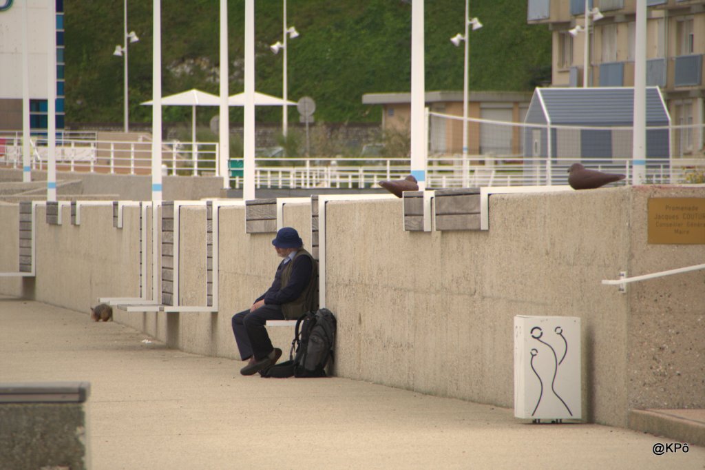 poèmes à lire en promenant le&nbsp;chien