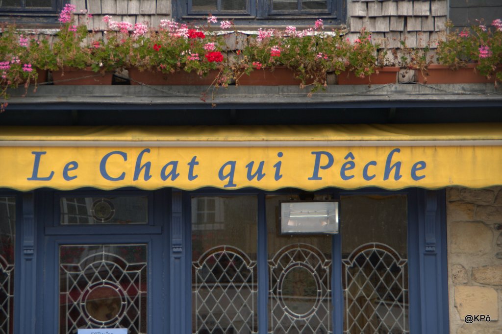 les petits poissons font-ils les grandes&nbsp;rivières?