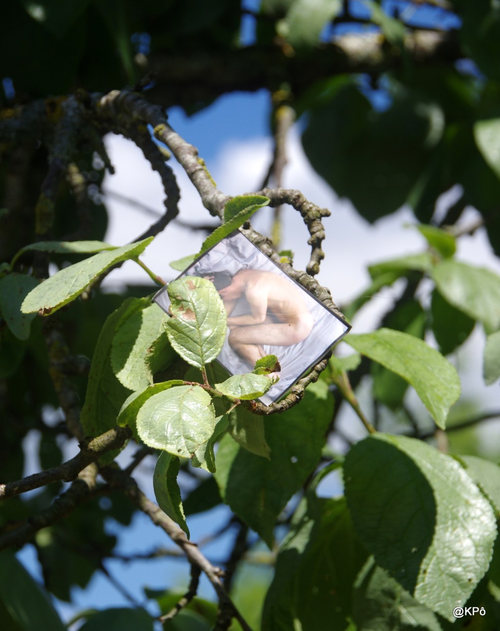 Chinou, c&rsquo;est l&rsquo;heure de promener le&nbsp;chien!