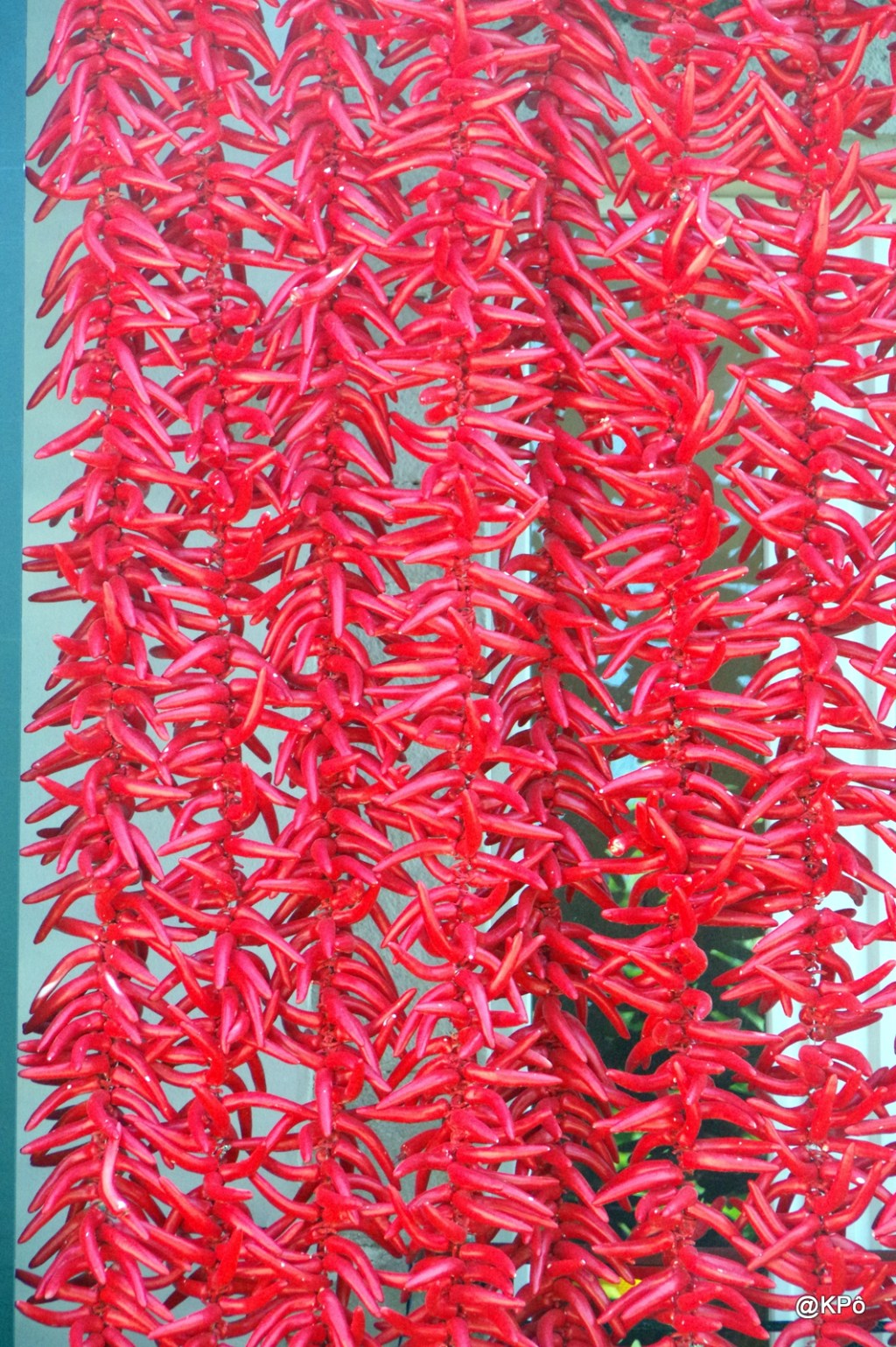 Prenez-en de la graine !