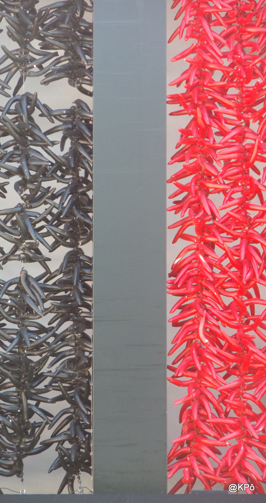 De la Callas jamais ne te lasses&nbsp;!