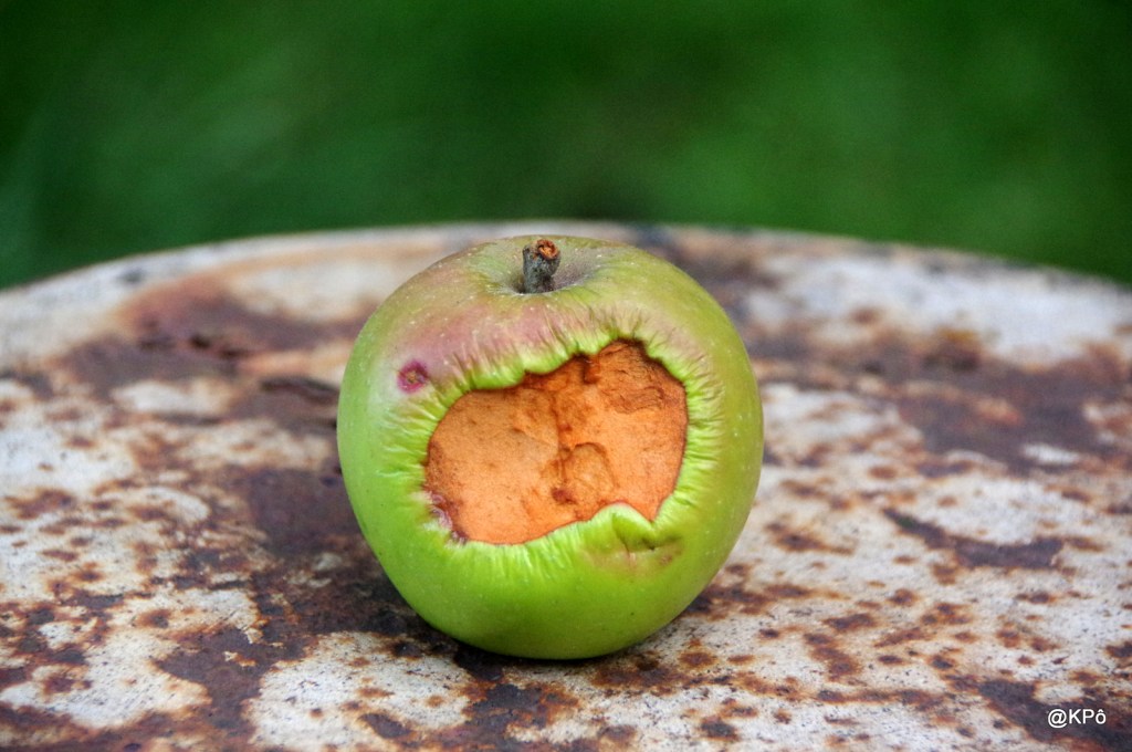 Duane Hanson (1925-1996), sculpteur américain&nbsp;(hyperréaliste)