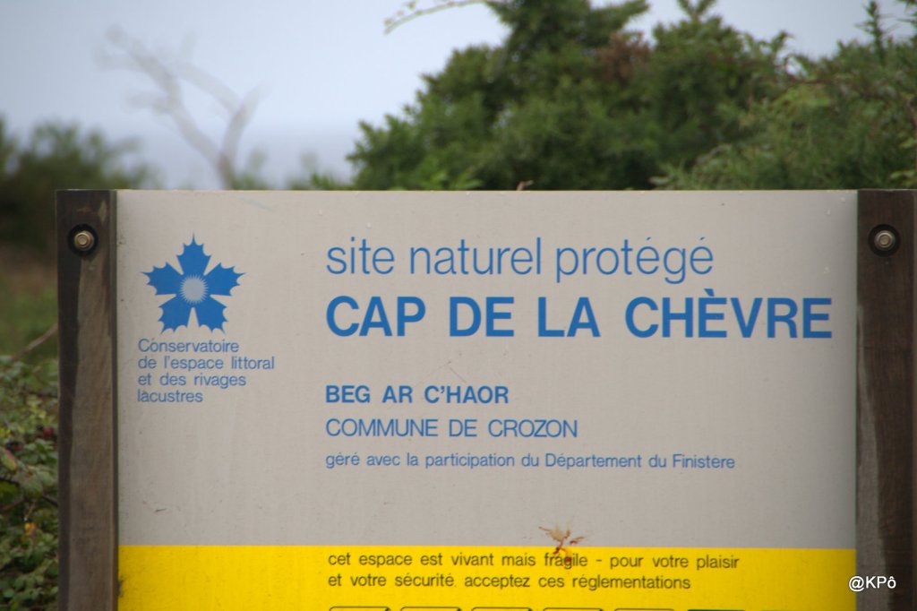 La cacovid phonie, (une chronique qui fait à moitié rire) de Tanguy Pastureau ce midi sur france&nbsp;inter