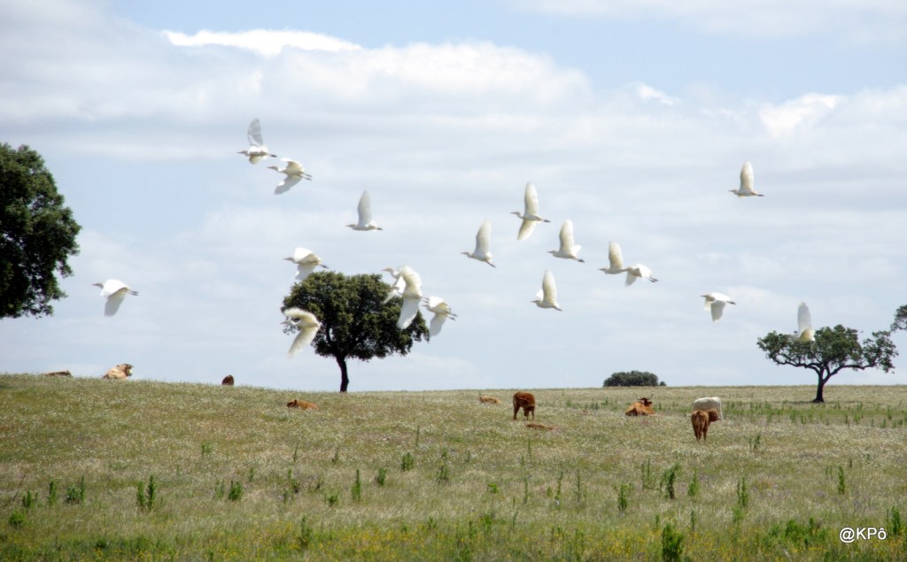Dans la série les groupes ringards qui ne se sont pas foulés au niveau des&nbsp;paroles
