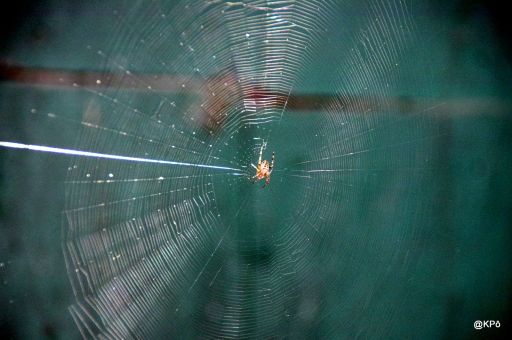 les poèmes(?) saugrenus de Chinou (2) : quand le grand art&nbsp;régnait