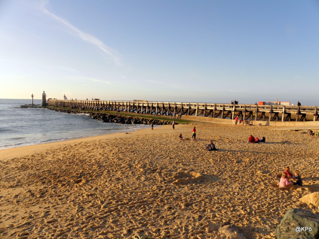 C&rsquo;est très con mais je trouve ces deux machos déglingués drôles&nbsp;!